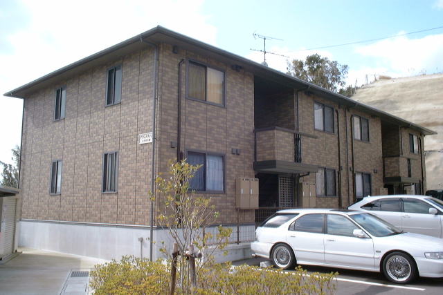 4147画像