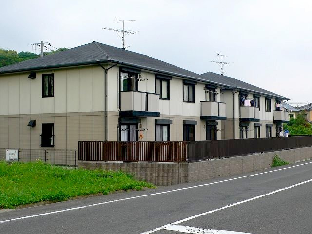 4962画像